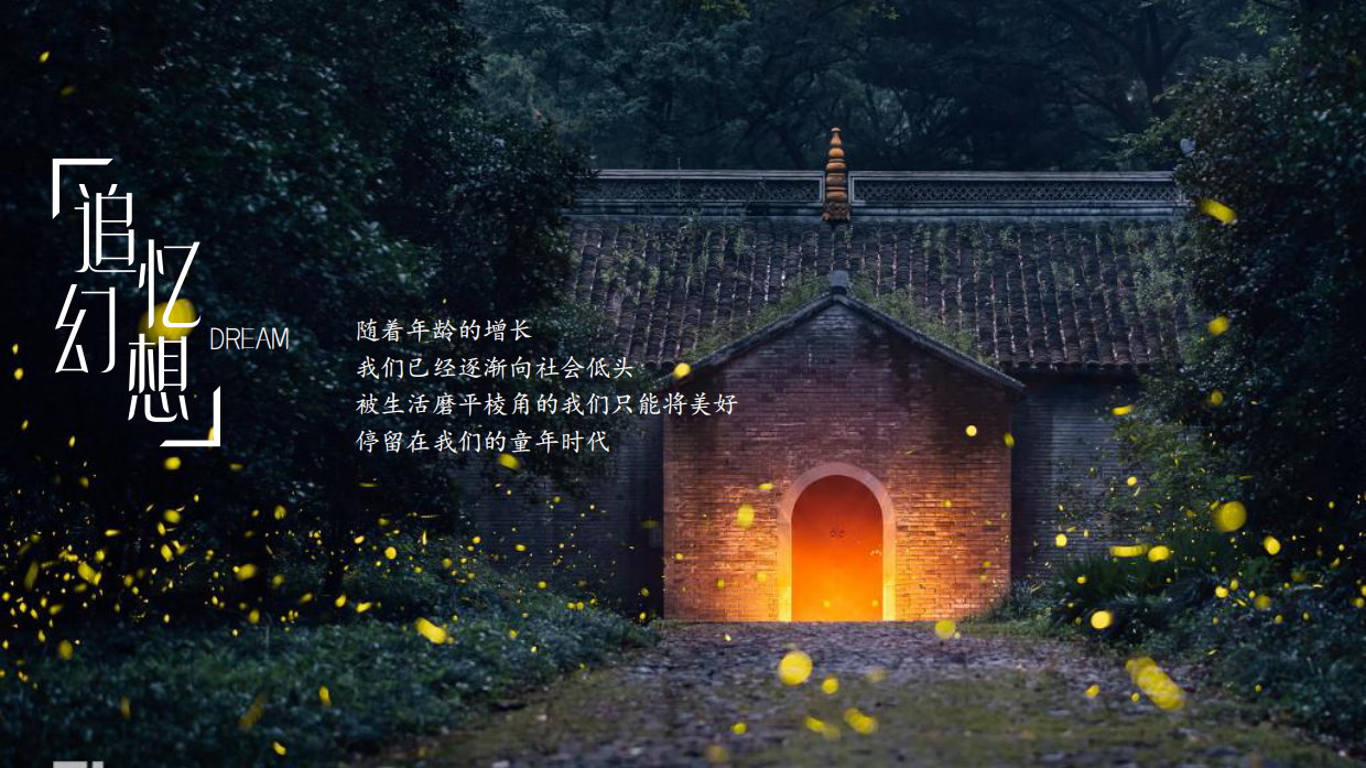 稻田音乐节活动策划方案-53P.pdf_第3页