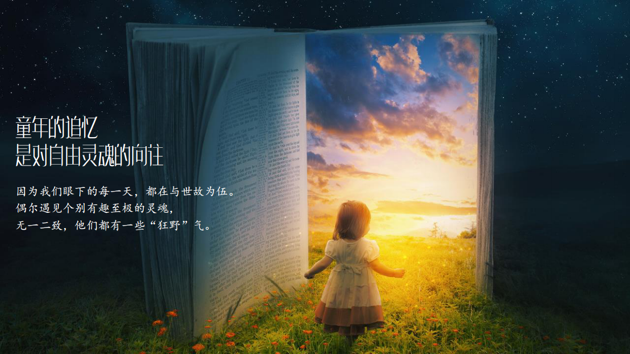 稻田音乐节活动策划方案-53P.pdf_第6页