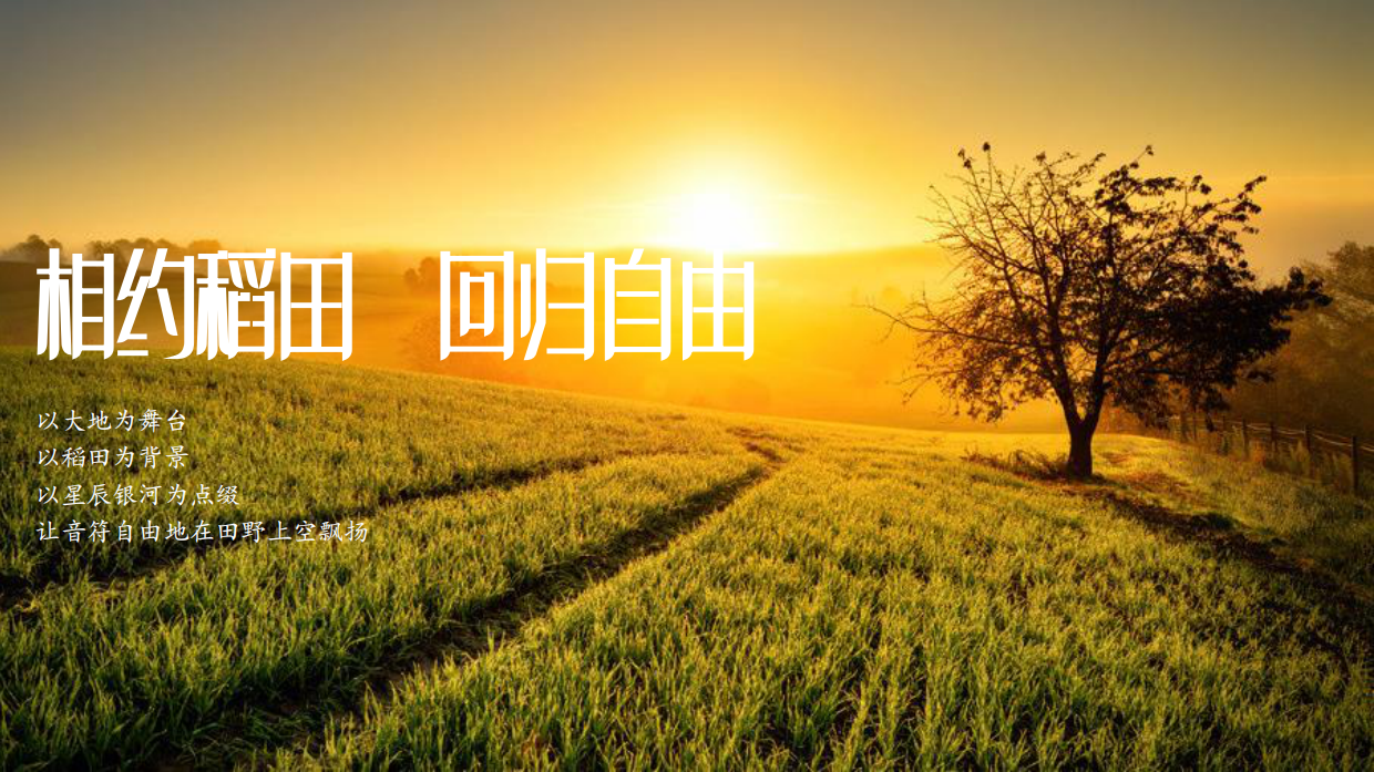 稻田音乐节活动策划方案-53P.pdf_第7页