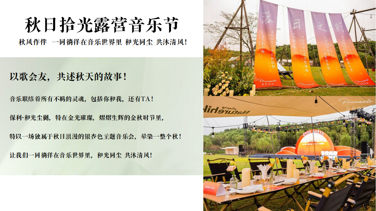 地产项目草地露营音乐节活动策划案.pdf_第2页