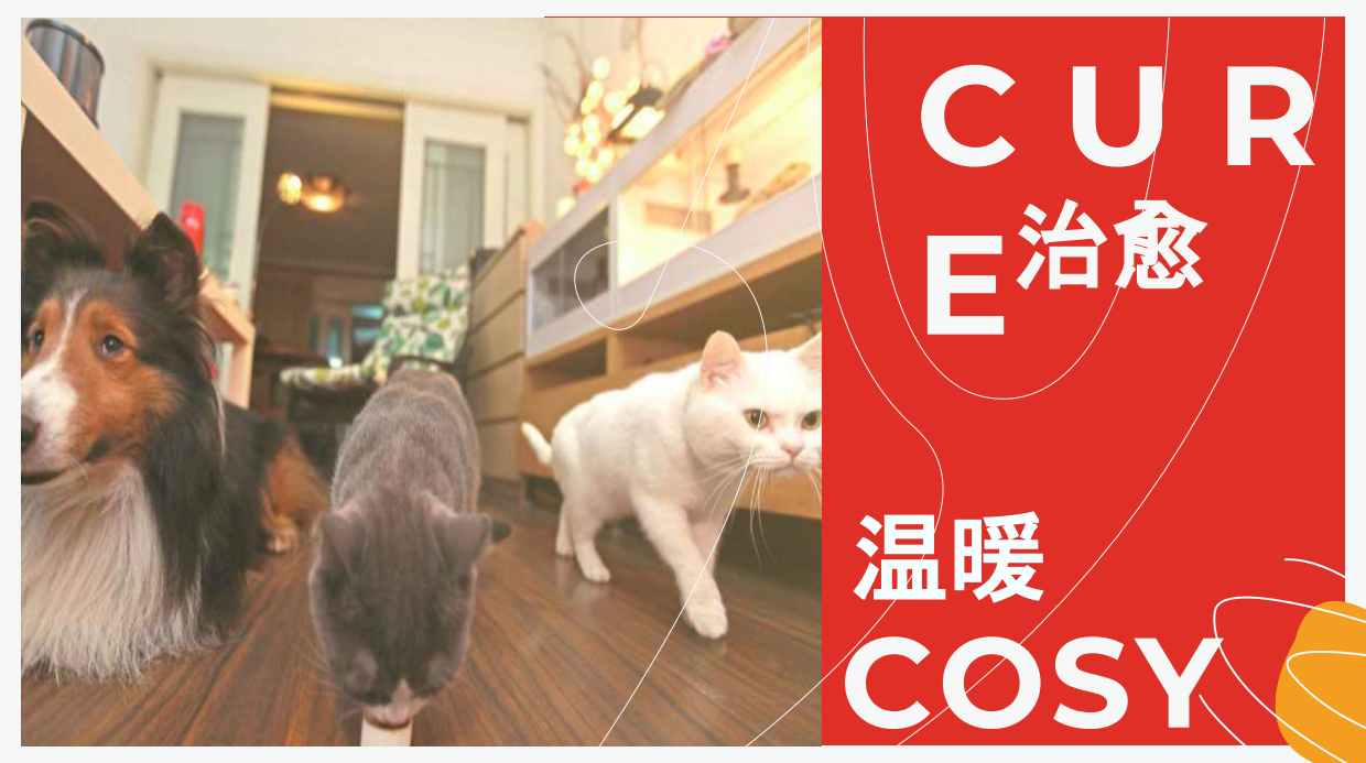 多可特萌宠音乐节企划案.pdf_第2页