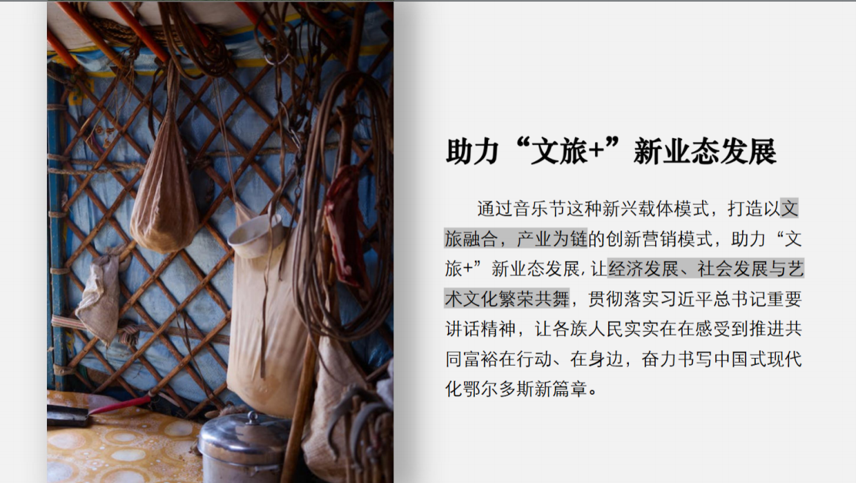 鄂尔多斯草原音乐节全案.pdf_第9页