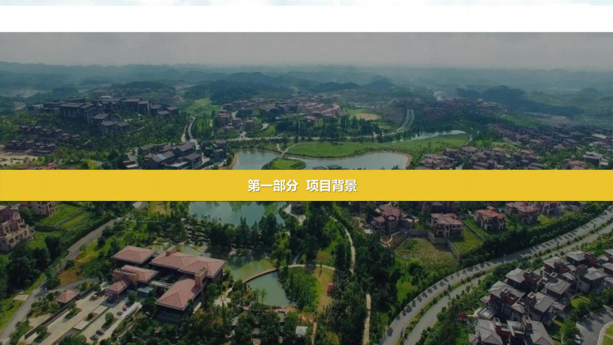 飞马音乐节活动策划策划方案.pdf_第3页