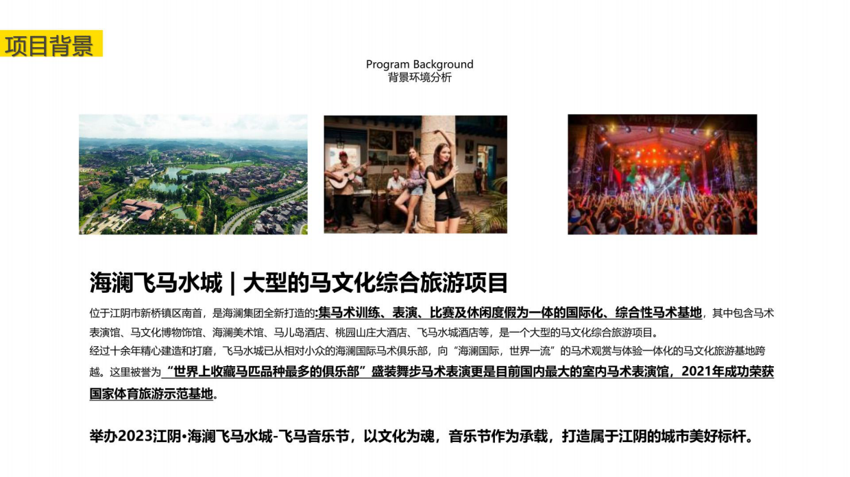 飞马音乐节活动策划策划方案.pdf_第4页
