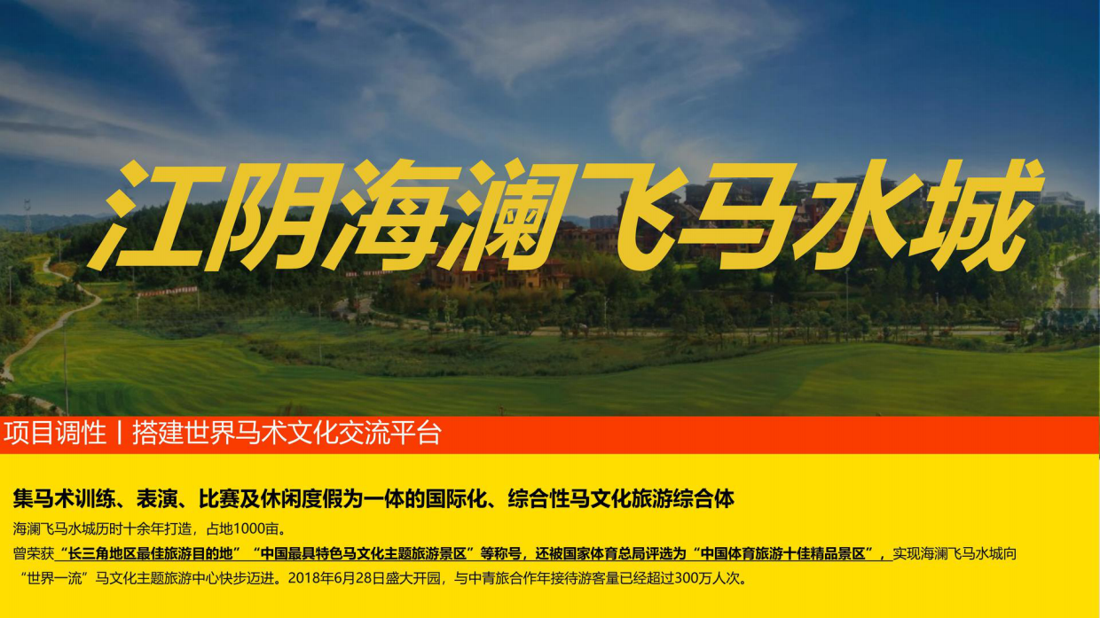 飞马音乐节活动策划策划方案.pdf_第5页