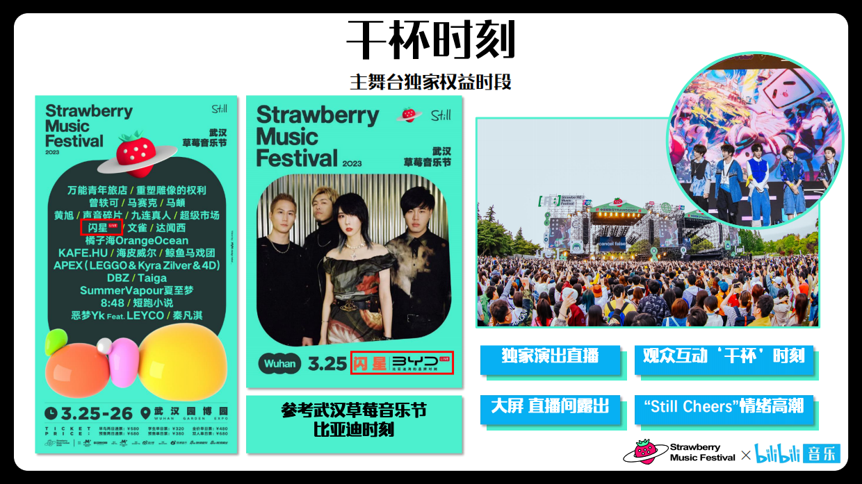 干杯草莓音乐节招商方案.pdf_第10页