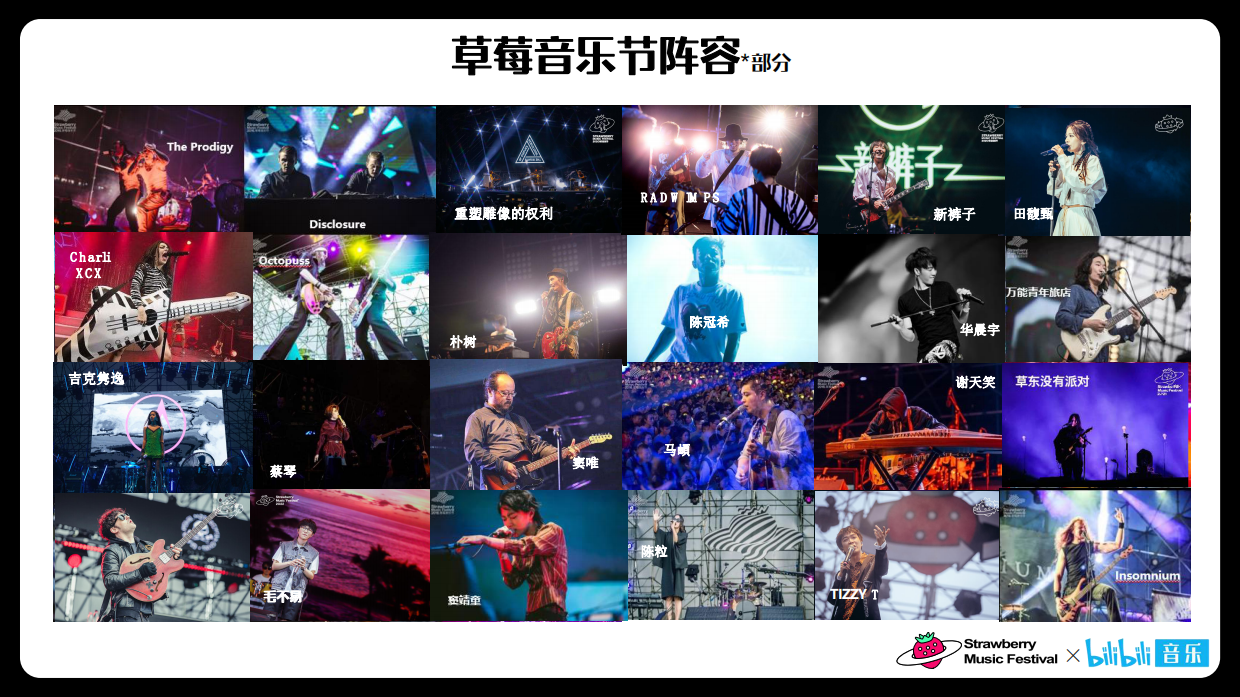 干杯草莓音乐节招商方案.pdf_第5页