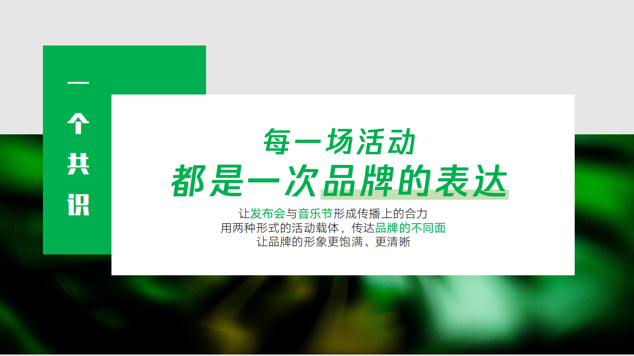 河套王酒音乐节方案.pdf_第3页
