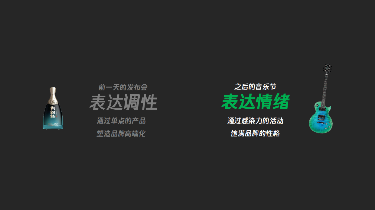 河套王酒音乐节方案.pdf_第5页