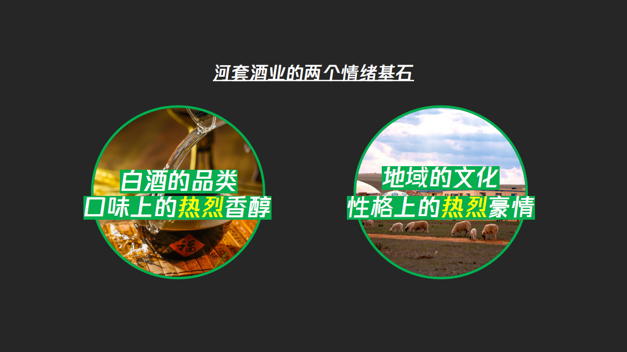 河套王酒音乐节方案.pdf_第6页