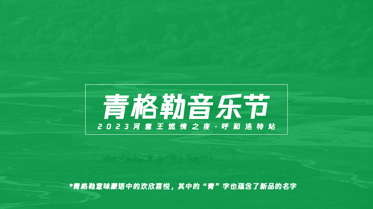 河套王酒音乐节方案.pdf_第8页