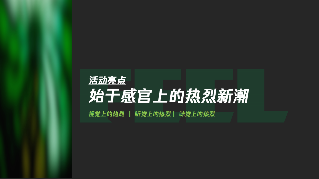 河套王酒音乐节方案.pdf_第9页