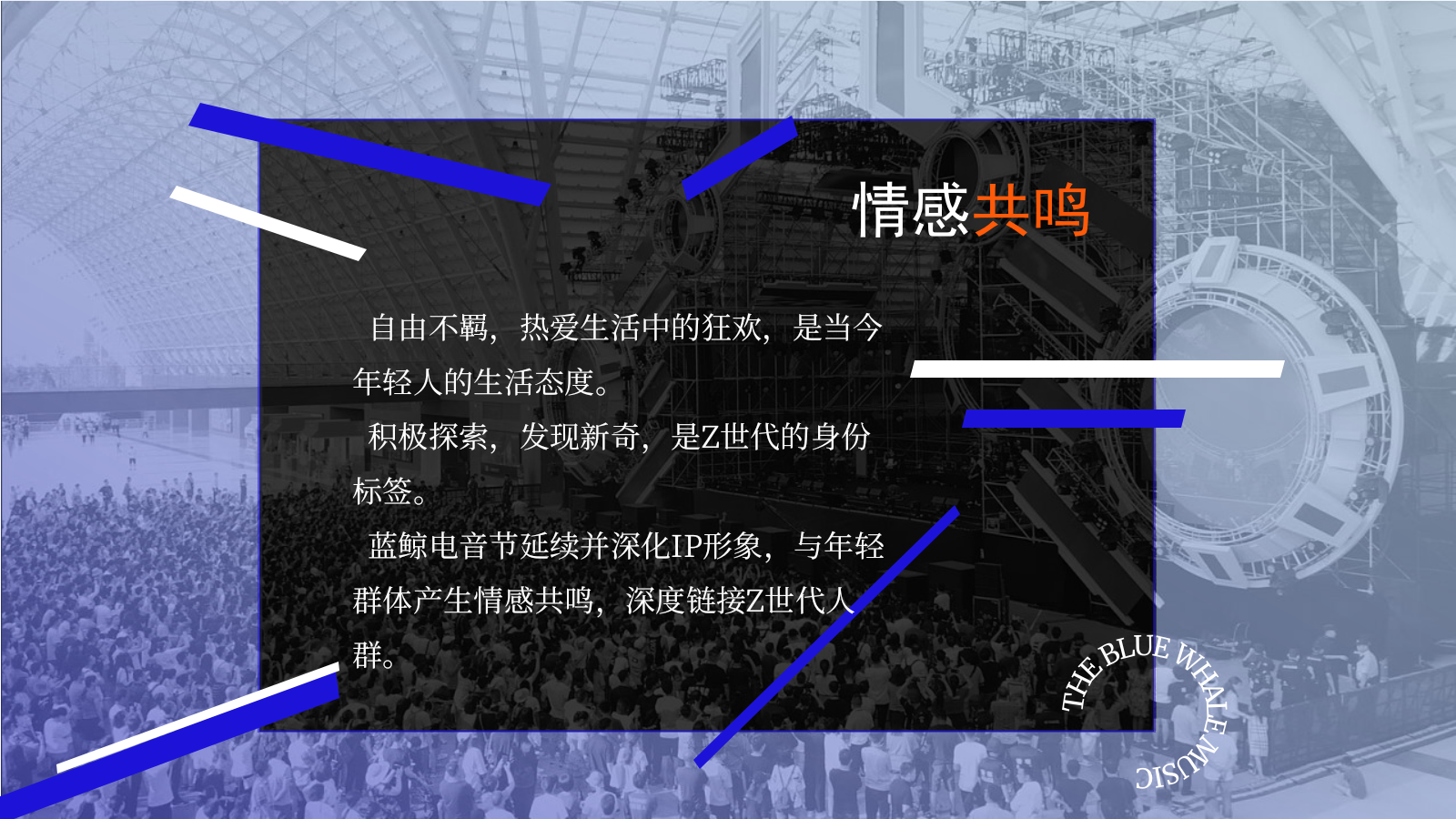 欢乐谷蓝鲸音乐节f方案.pptx_第7页