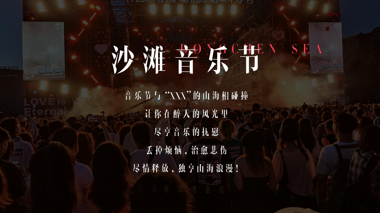 青年沙滩音乐节活动方案.pdf_第9页