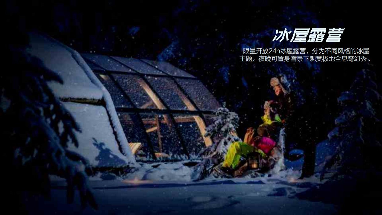 融创极地冰雪音乐节.pdf_第9页