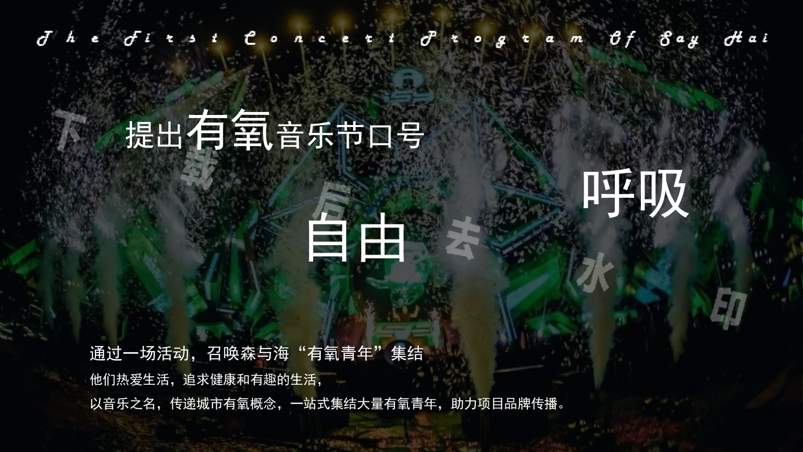 首届SAYHAI梦幻极光暨有氧音乐节活动策划方案.pptx_第8页
