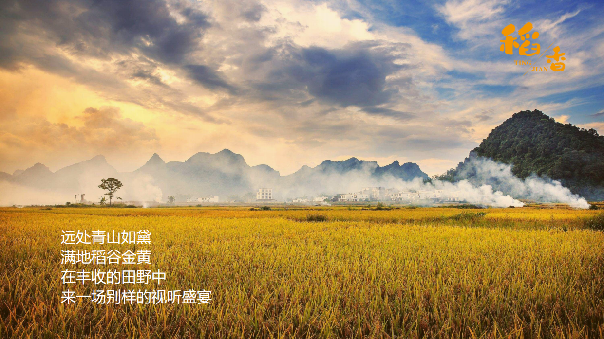 听见·稻香乡村稻田丰收音乐节暨美食嘉年华主题活动策划方案.pdf_第2页