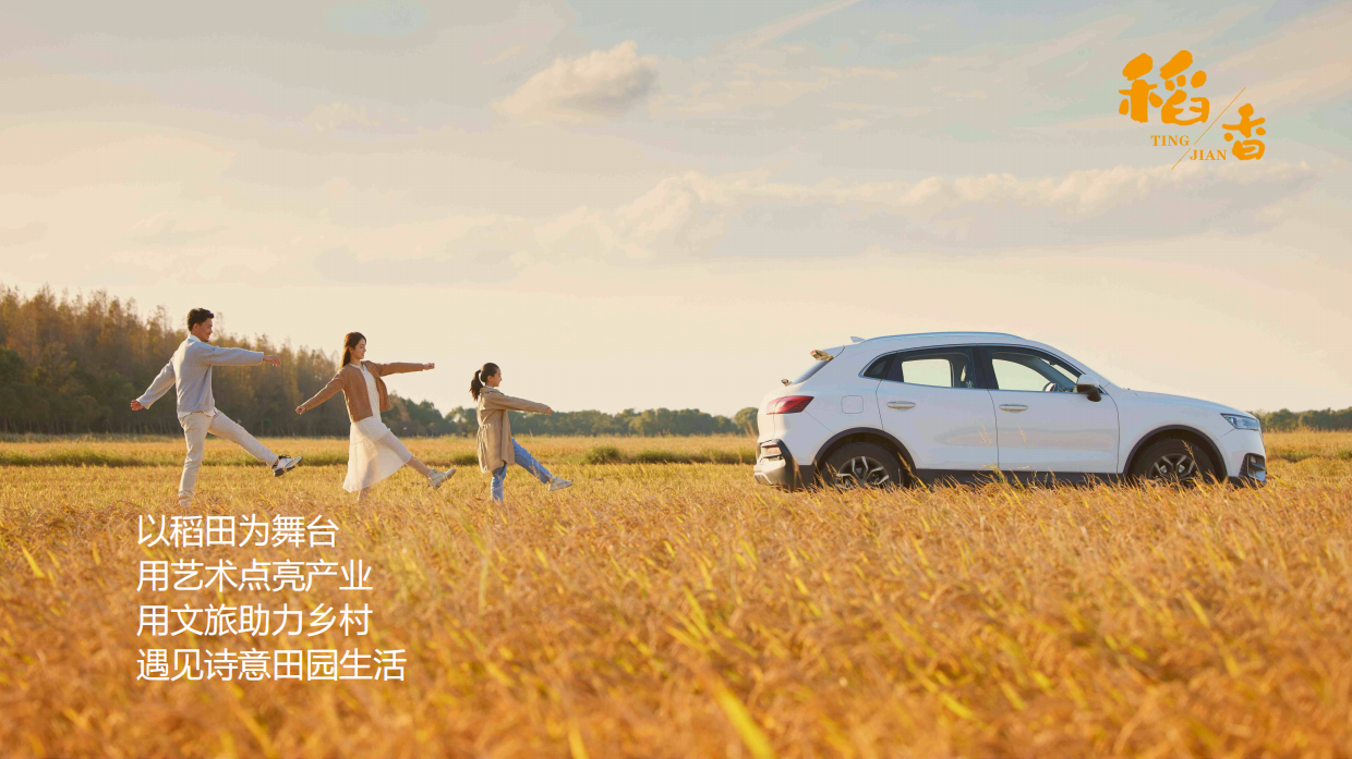 听见·稻香乡村稻田丰收音乐节暨美食嘉年华主题活动策划方案.pdf_第3页