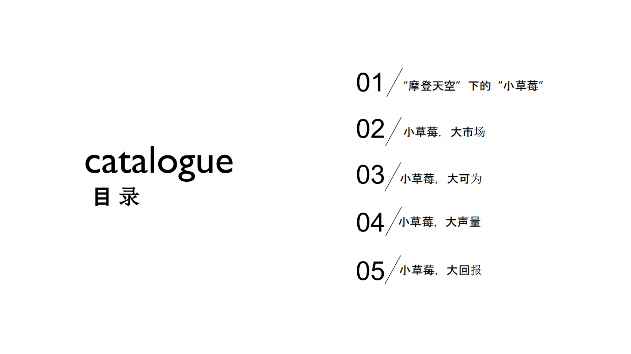 小草莓亲子音乐节招商方案.pdf_第2页