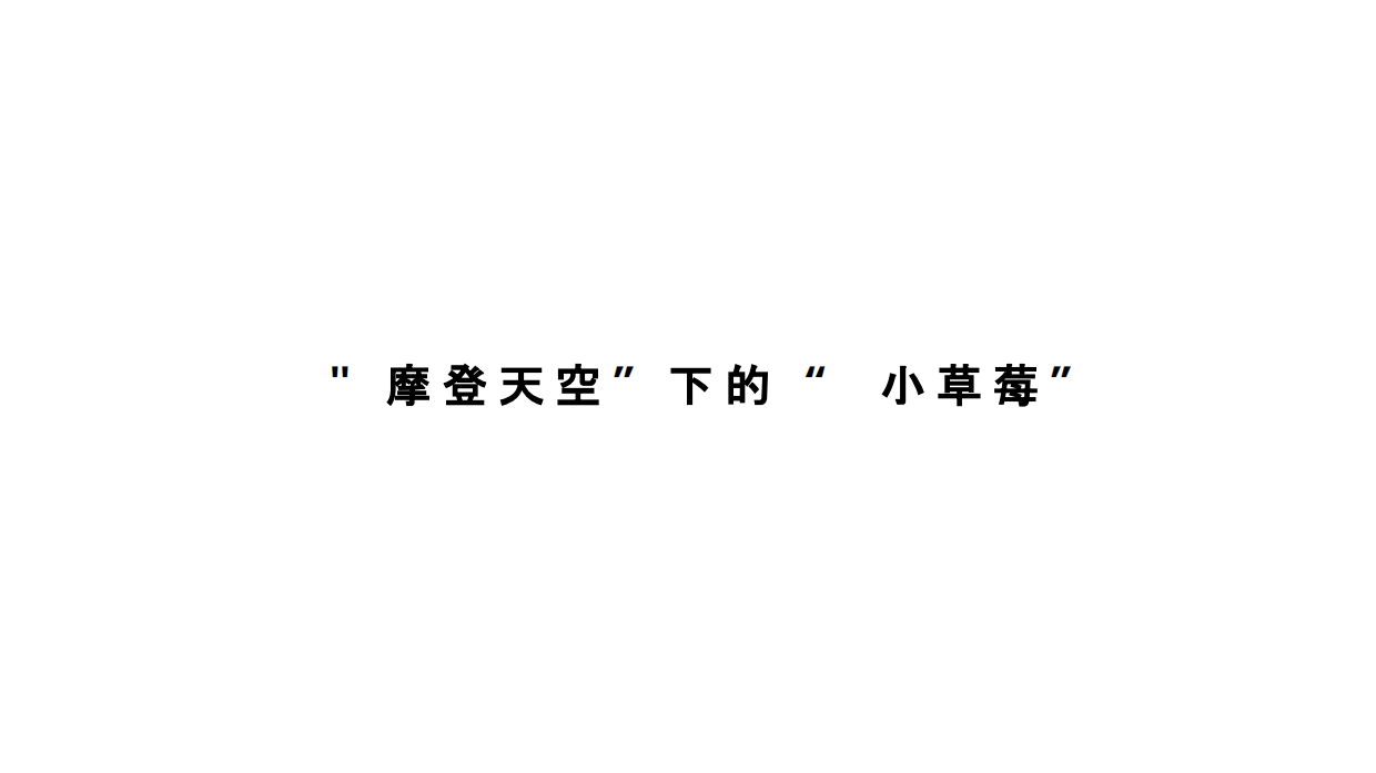 小草莓亲子音乐节招商方案.pdf_第3页