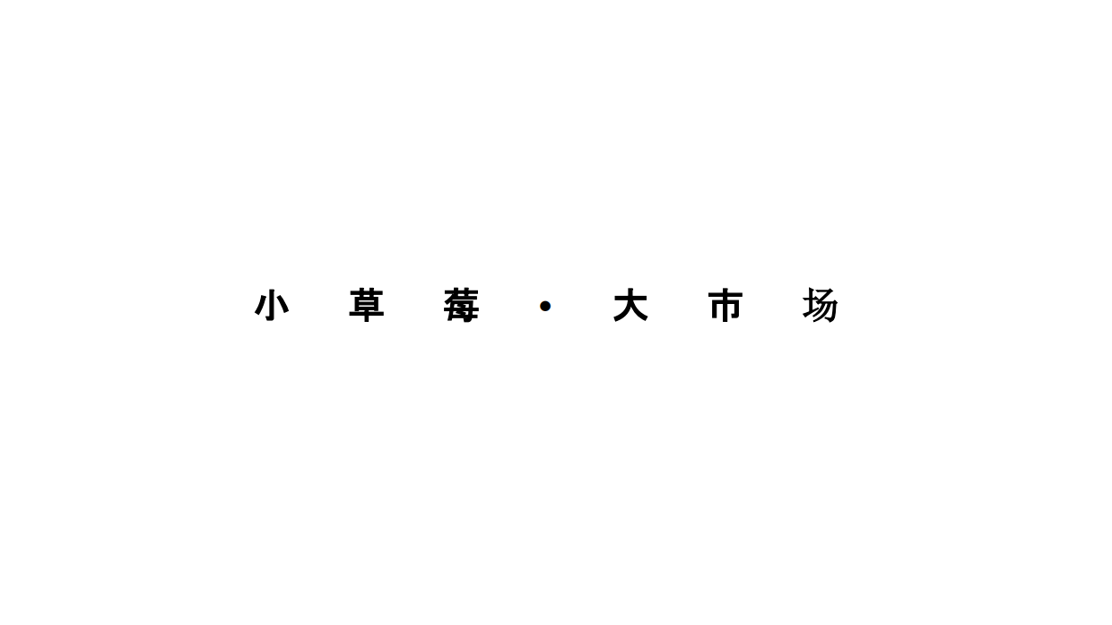 小草莓亲子音乐节招商方案.pdf_第8页