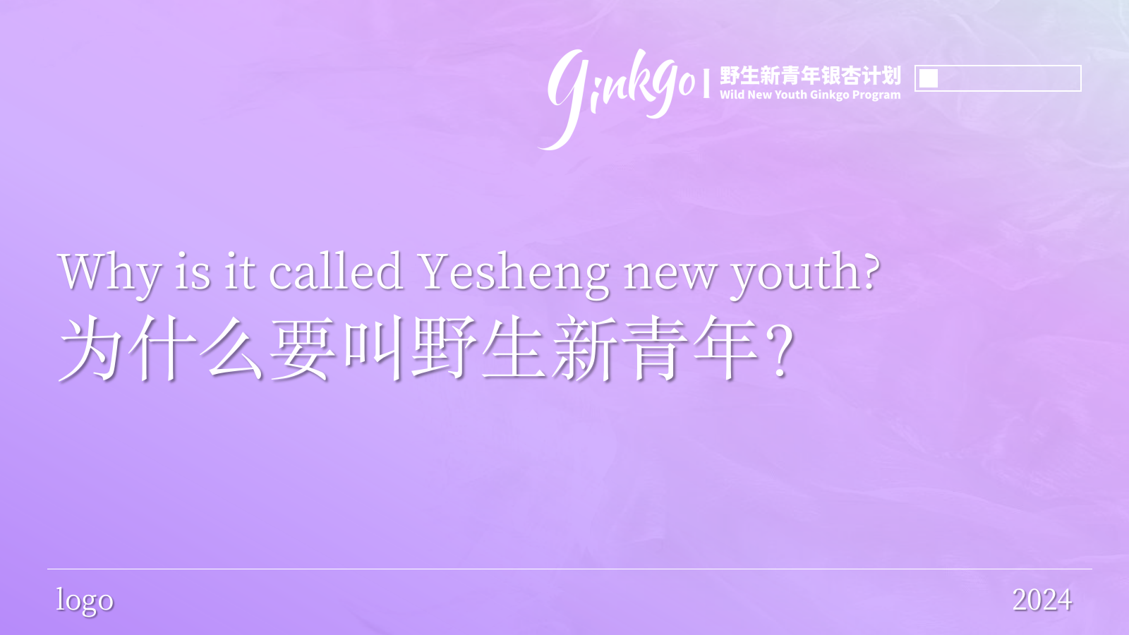 野生新青年银杏音乐节活动策划方案.pptx_第2页