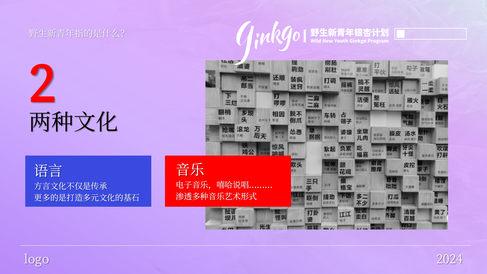 野生新青年银杏音乐节活动策划方案.pptx_第5页