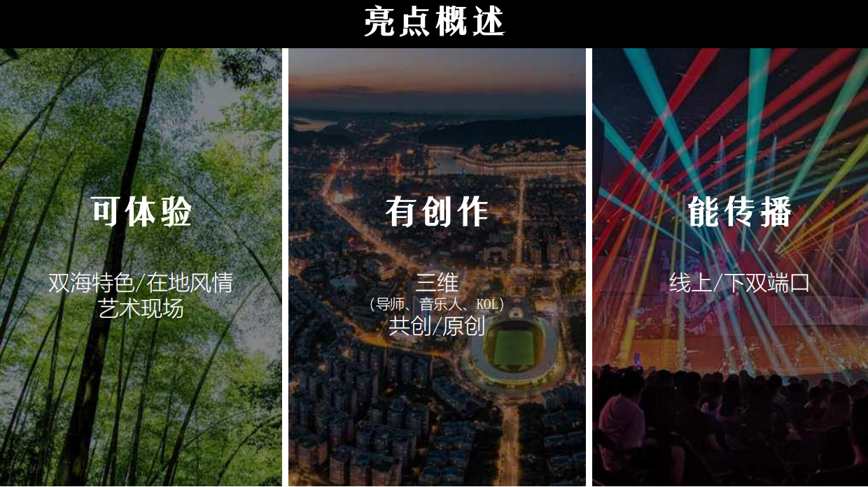 宜宾双海×宁波新乡村音乐创作周·音乐节策划思路.pdf_第8页
