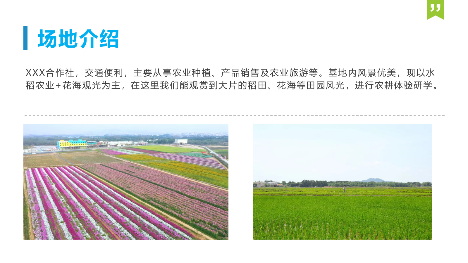 2024春季亲子农耕研学“下乡春耕·稻不一样”活动策划方案.pptx_第5页