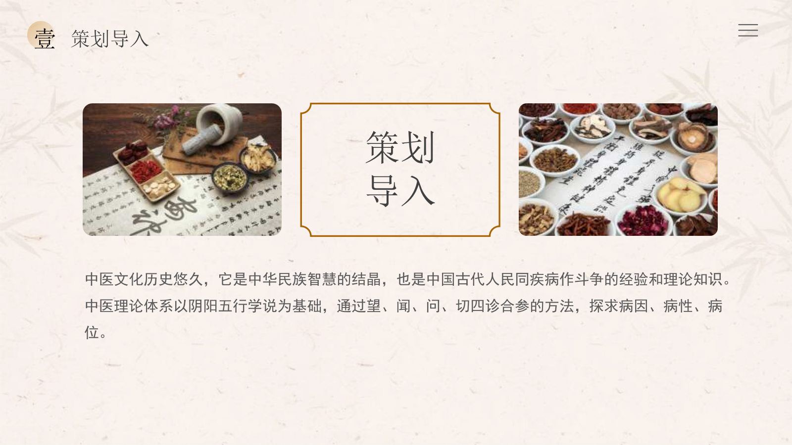 2024中华小药师中医研学体验营“走进百草园”主题活动策划方案.pptx_第4页