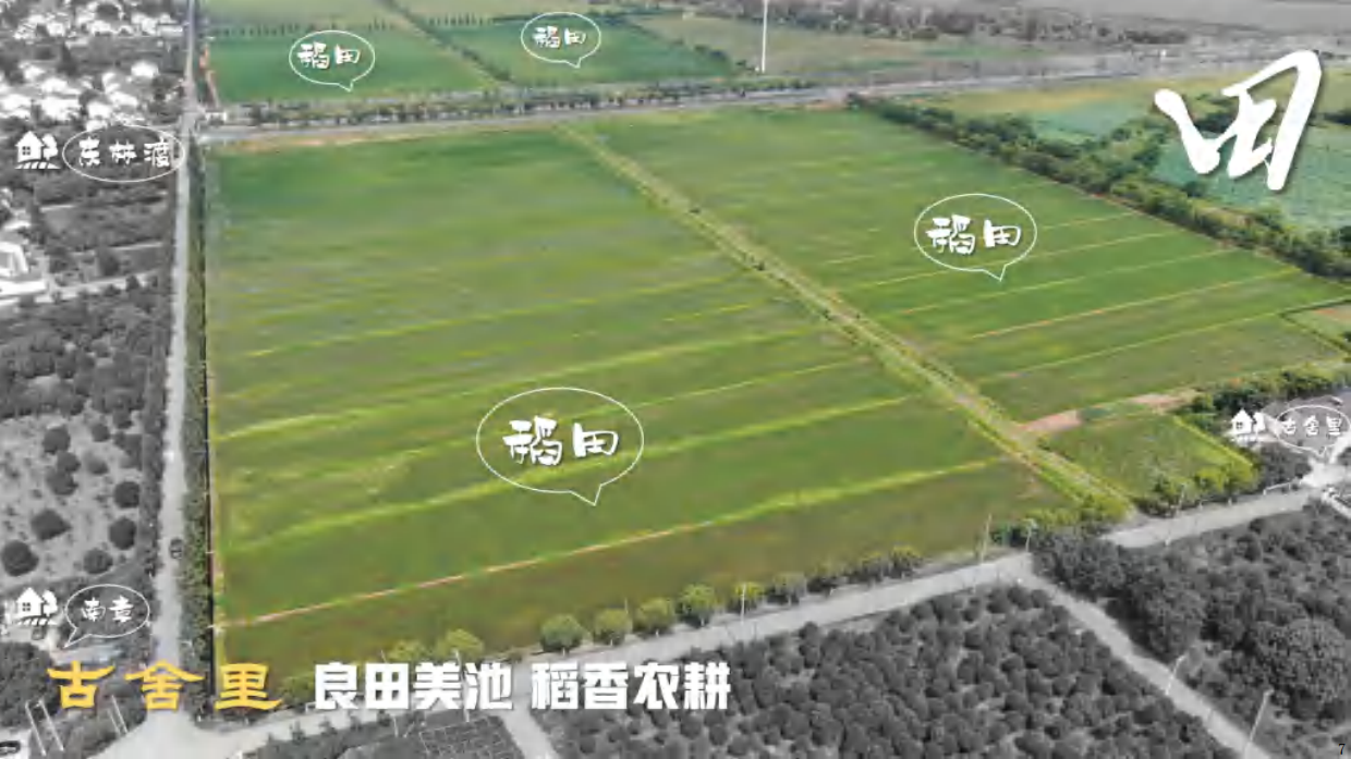 2025“修心稻花间 研学古含里”主题乡村稻田农耕研学乡村振兴文旅项目设计规划运营方案.pdf_第8页