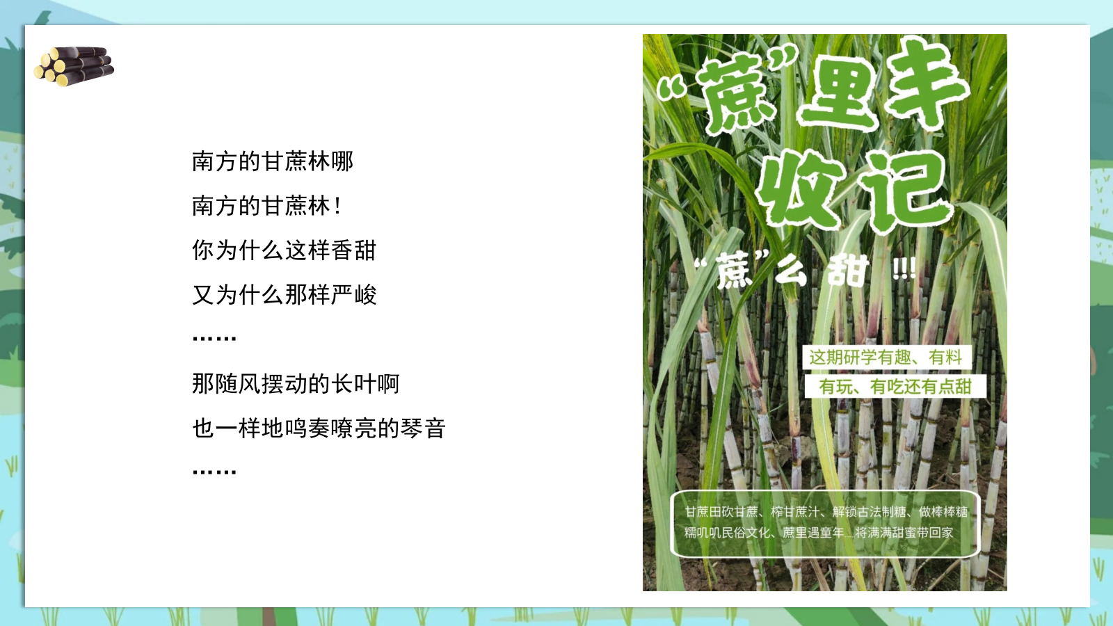 2025农场景区营地甘蔗研学趣味生活节“蔗里时光有点甜”主题活动策划方案.pptx_第3页