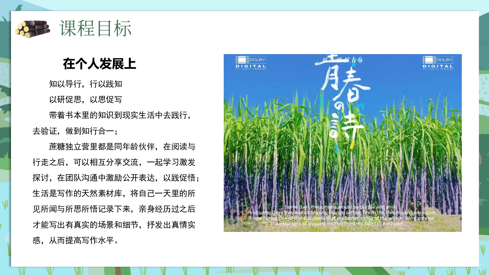 2025农场景区营地甘蔗研学趣味生活节“蔗里时光有点甜”主题活动策划方案.pptx_第6页