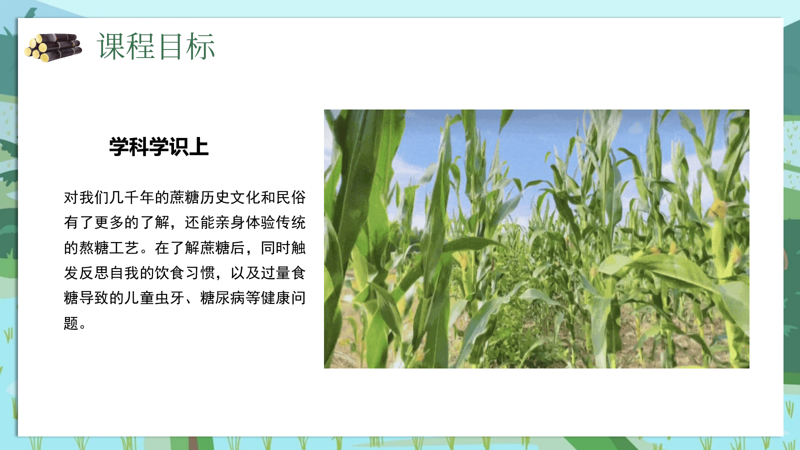 2025农场景区营地甘蔗研学趣味生活节“蔗里时光有点甜”主题活动策划方案.pptx_第7页