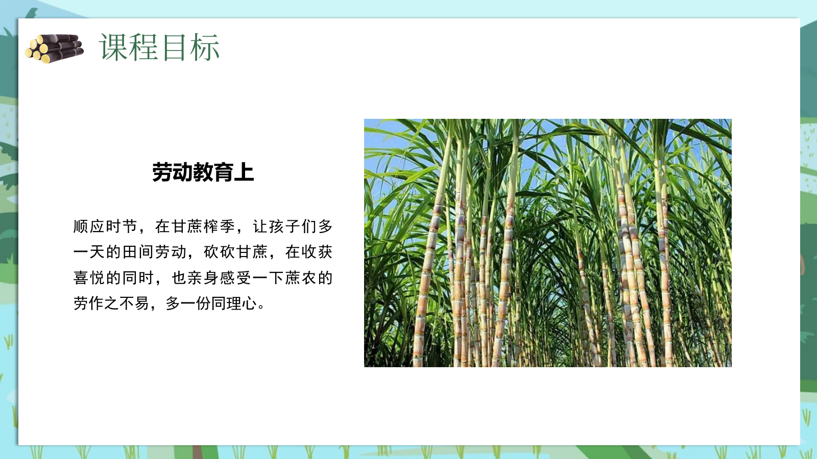 2025农场景区营地甘蔗研学趣味生活节“蔗里时光有点甜”主题活动策划方案.pptx_第8页