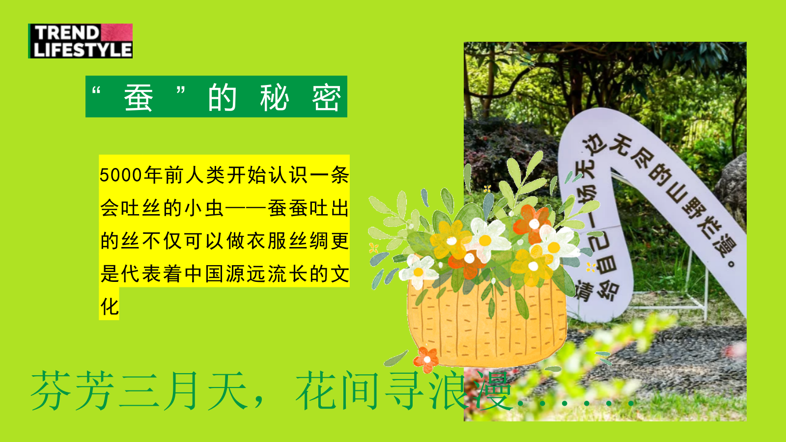 2025文旅景区春日桑蚕研学“蚕宝探秘·丝路启蒙”活动策划方案.pptx_第4页