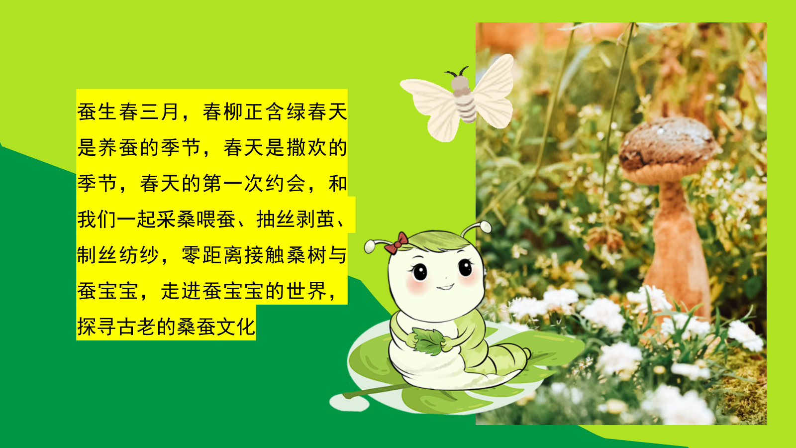 2025文旅景区春日桑蚕研学“蚕宝探秘·丝路启蒙”活动策划方案.pptx_第5页