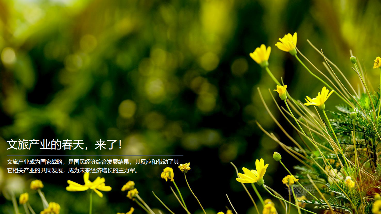 (研学＋无动力乐园）打造研学春天里的无动力游.pdf_第1页