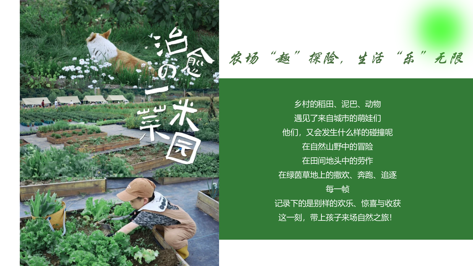 “播种春光·亲子共耕“主题五一劳动节田野研学体验计划活动方案.pptx_第5页