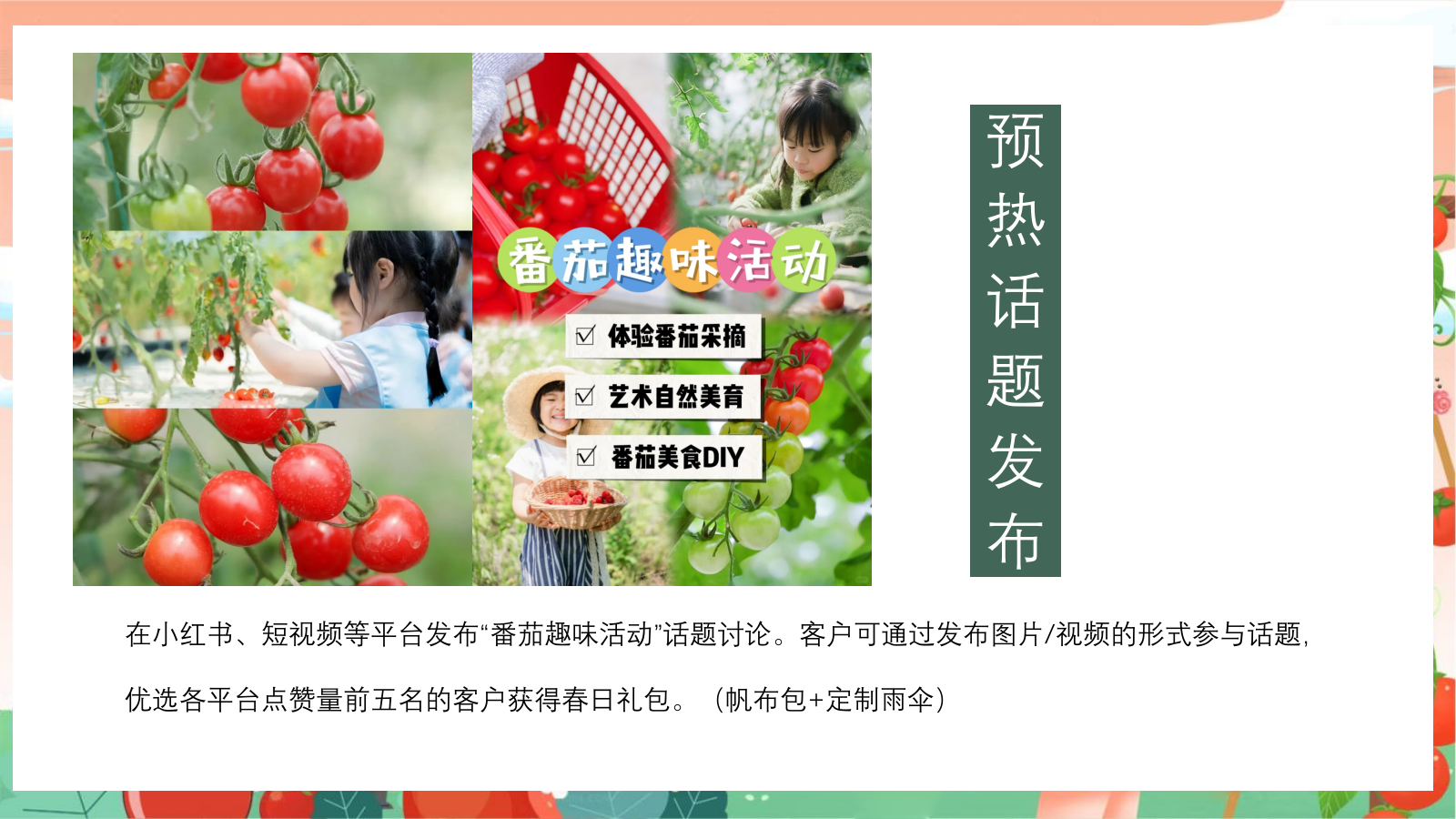 “春光研学 番田喜柿”主题春季趣玩草坪运动露营派对春日番茄研学团建手工地产活动策划方案.pptx_第10页