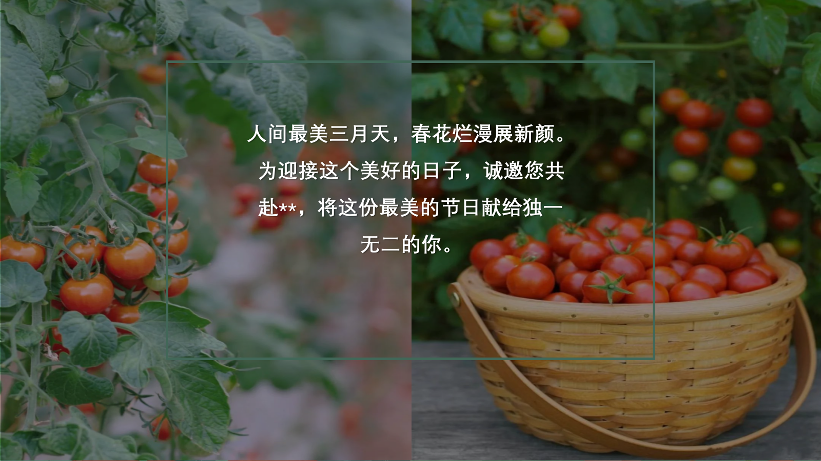 “春光研学 番田喜柿”主题春季趣玩草坪运动露营派对春日番茄研学团建手工地产活动策划方案.pptx_第3页