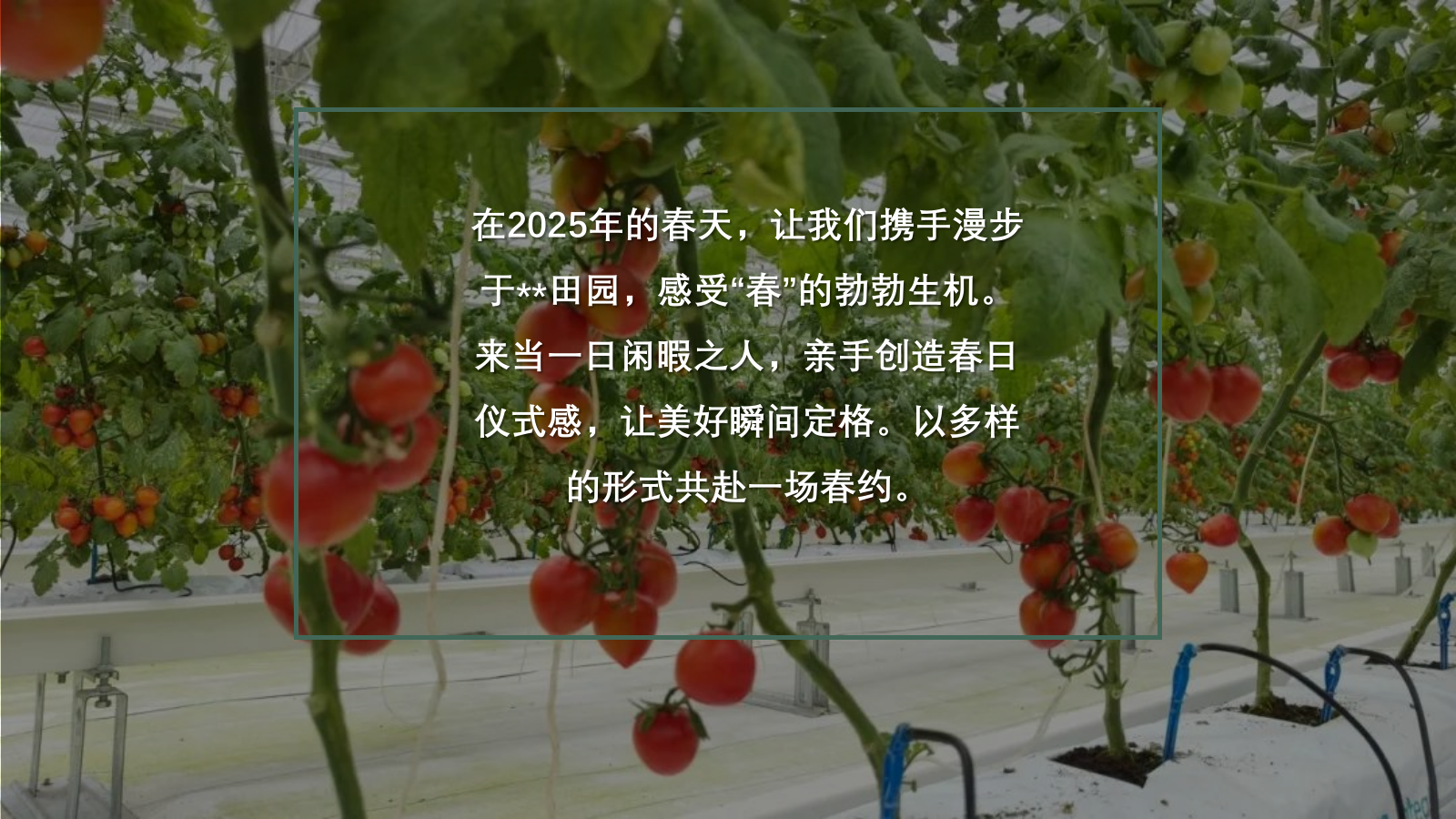 “春光研学 番田喜柿”主题春季趣玩草坪运动露营派对春日番茄研学团建手工地产活动策划方案.pptx_第4页