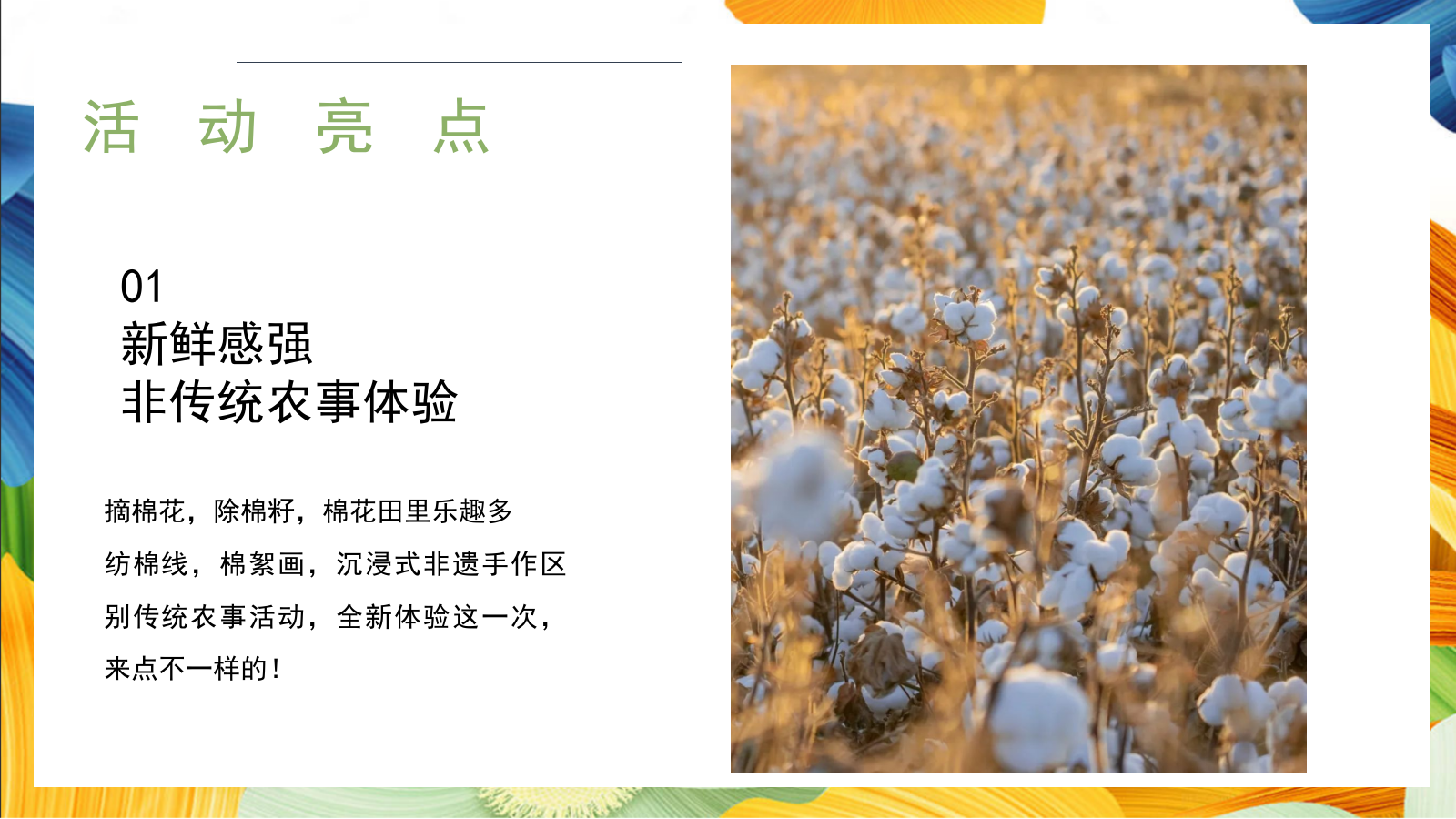 “秋日棉棉+FUN享快乐”秋收棉花主题研学系列活动策划方案.pptx_第10页