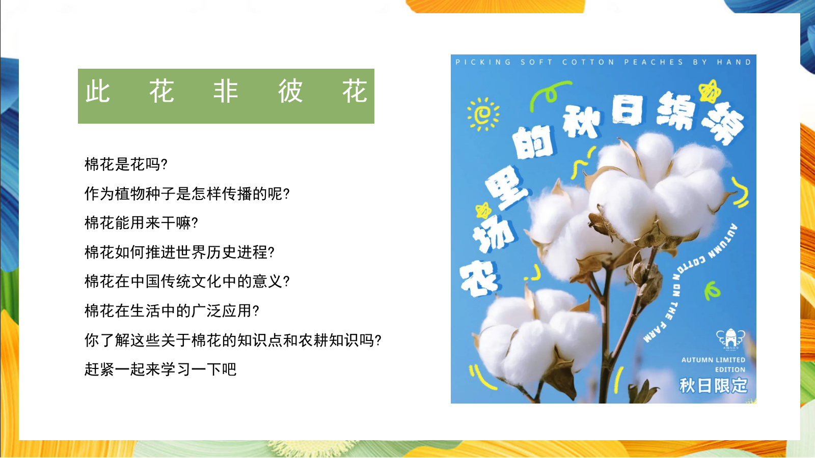 “秋日棉棉+FUN享快乐”秋收棉花主题研学系列活动策划方案.pptx_第3页
