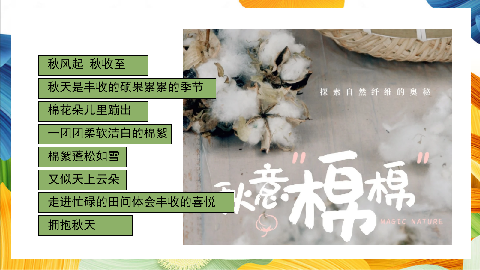 “秋日棉棉+FUN享快乐”秋收棉花主题研学系列活动策划方案.pptx_第4页