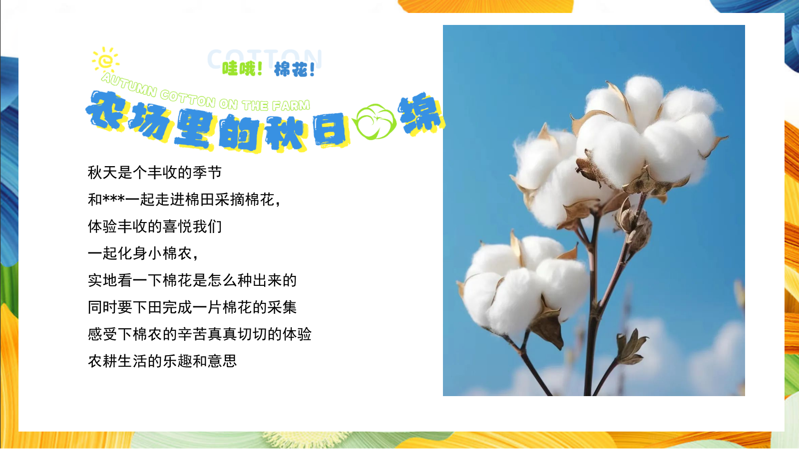 “秋日棉棉+FUN享快乐”秋收棉花主题研学系列活动策划方案.pptx_第5页