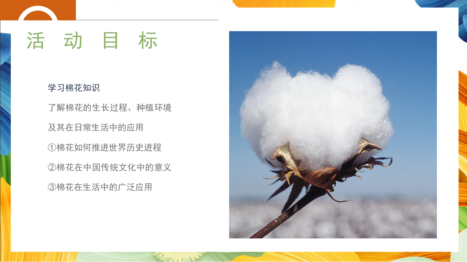 “秋日棉棉+FUN享快乐”秋收棉花主题研学系列活动策划方案.pptx_第8页