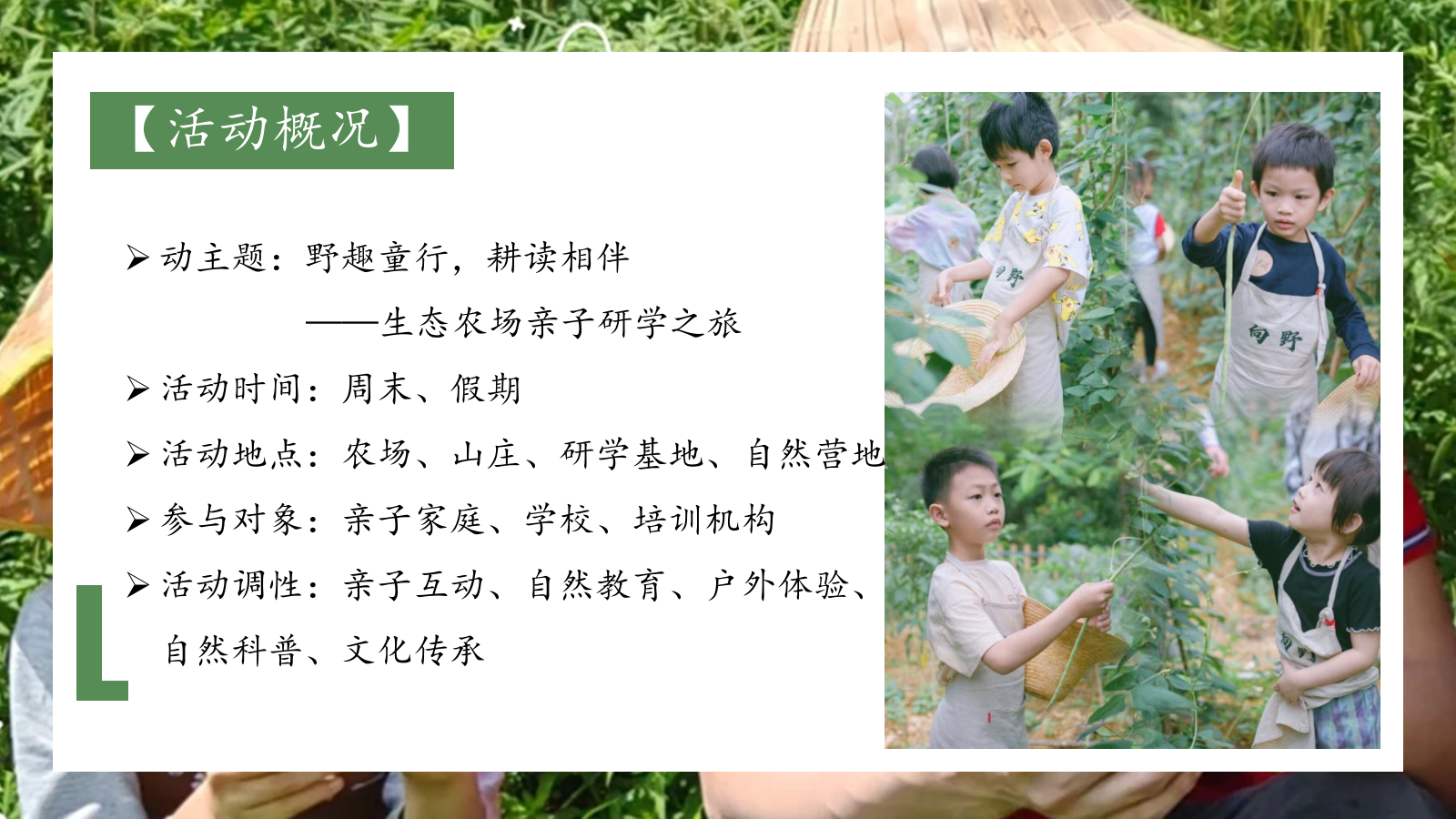 “野趣童行，耕读相伴”主题生态农场亲子研学活动策划案.pptx_第8页