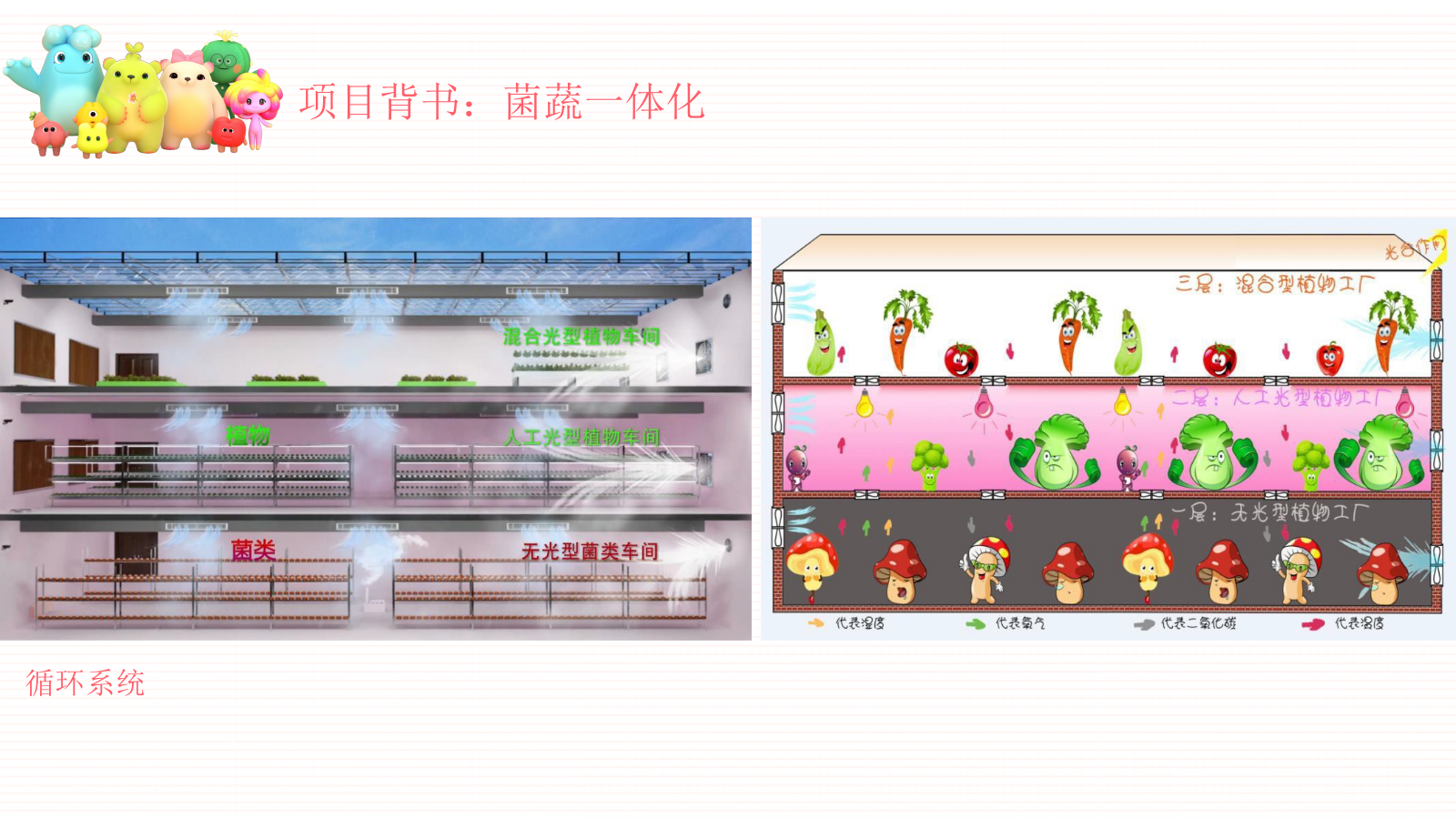 萌芽熊幼植园系列——植物工厂亲子研学春季主题展.pptx_第10页