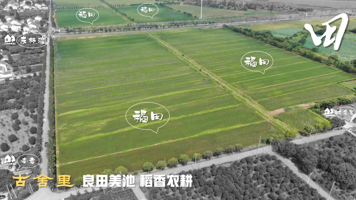 古舍里南章村稻田农耕研学乡村振兴文旅项目设计规划运营方案.pdf_第8页
